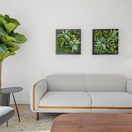 Whyhotel By Placemakr, San José Zewnętrze zdjęcie