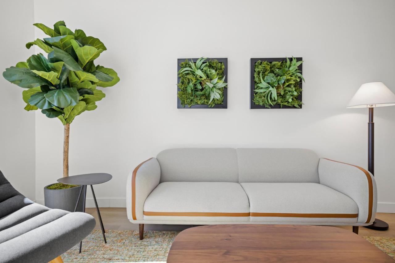 Whyhotel By Placemakr, San José Zewnętrze zdjęcie